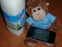 Bob remembers the milk
