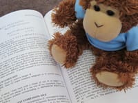 Bob T. Monkey stays in school