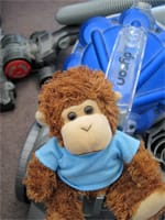 Bob T. Monkey stays on track with chores