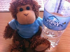 Bob tries to drink more water
