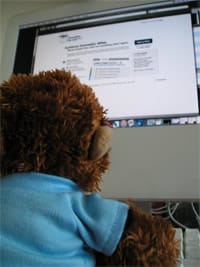 Bob T. Monkey working hard