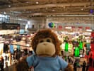 Big place for a small monkey