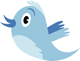 Twitter bird