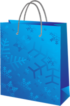 Christmas shopping bag