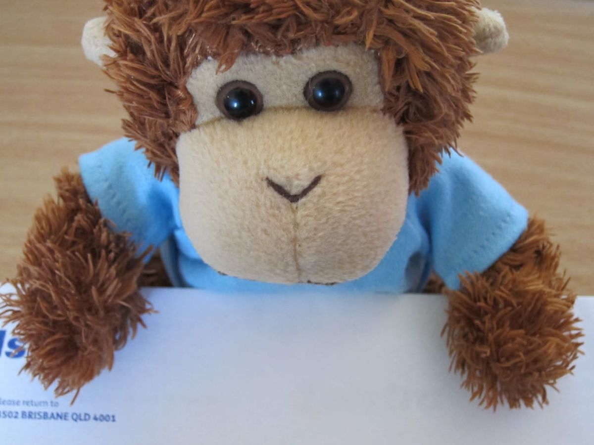 Bob T. Monkey with a bill