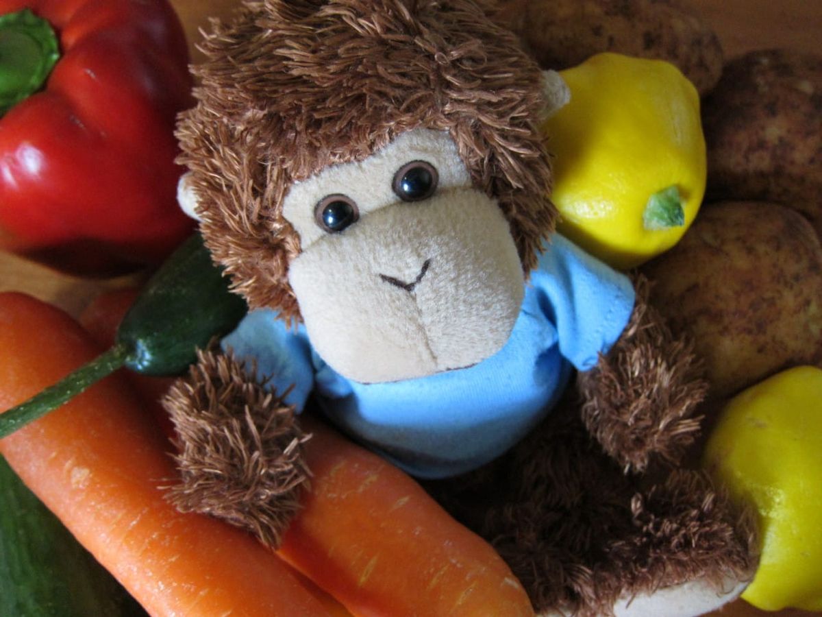 Bob T. Monkey with vegetables