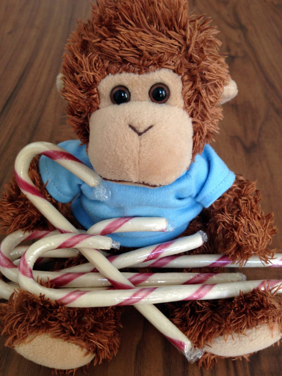 Bob T. Monkey with candy canes