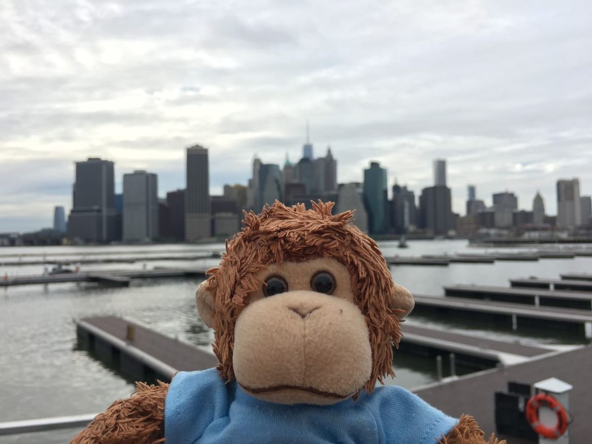 Bob T. Monkey and New York City