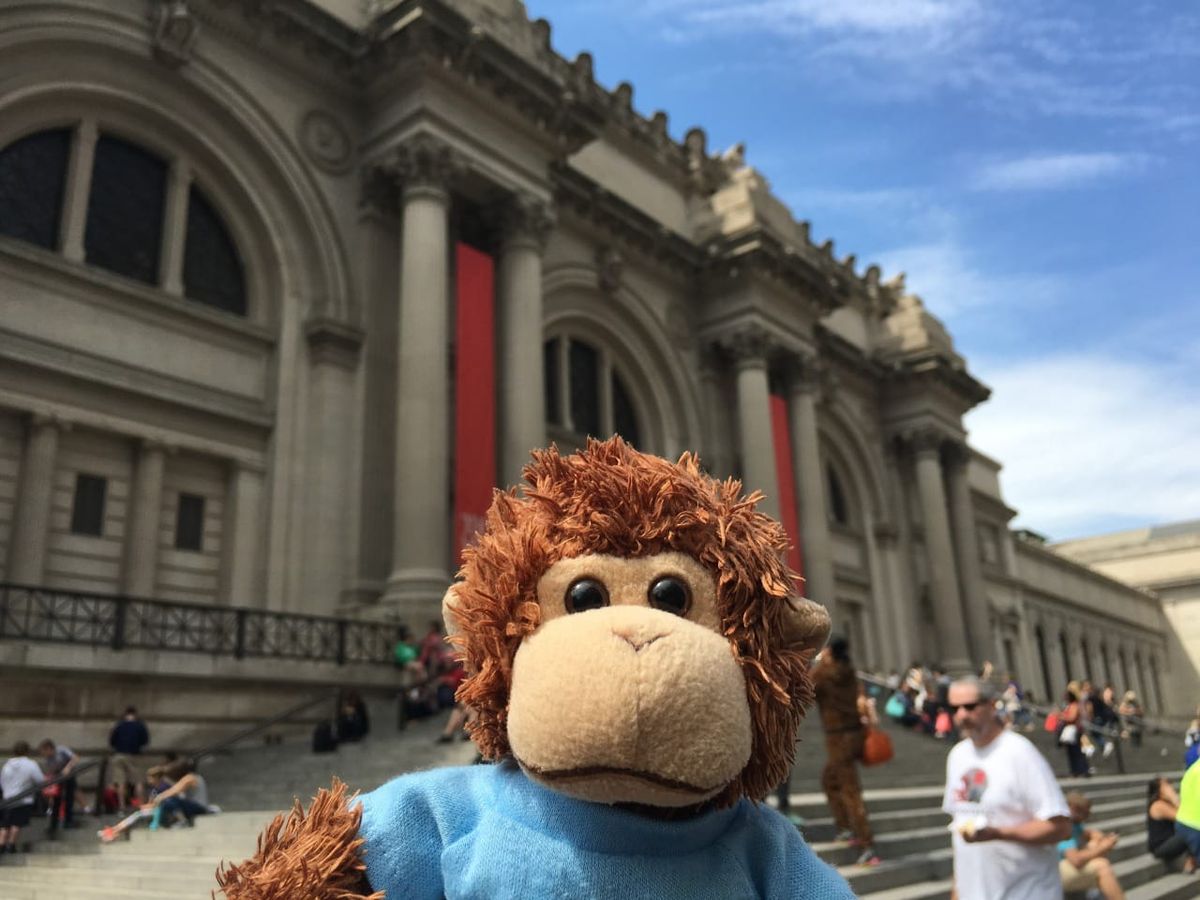Bob T. Monkey at the museum