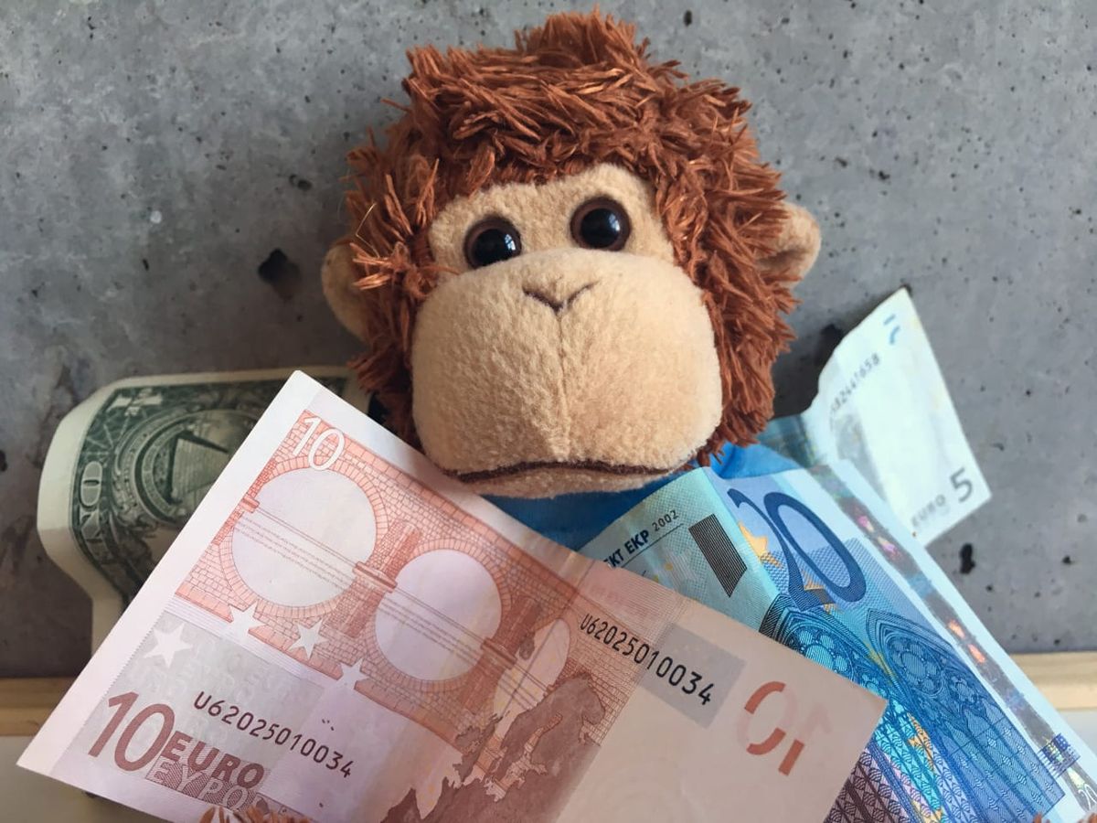 Bob T. Monkey with money