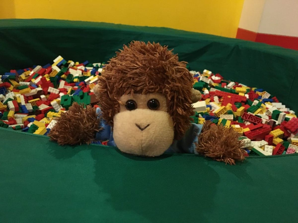 Bob T. Monkey with a lot of Lego