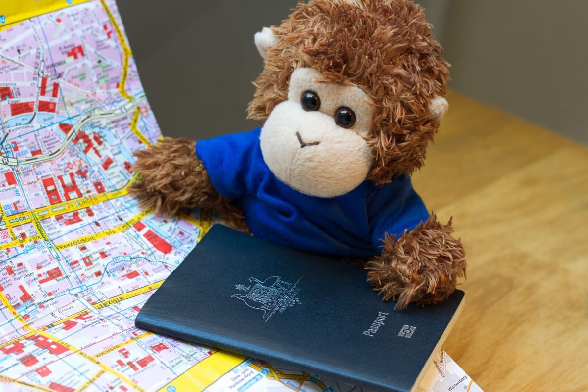 Bob T. Monkey with his passport