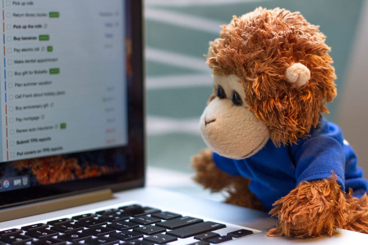 Bob T. Monkey on a laptop