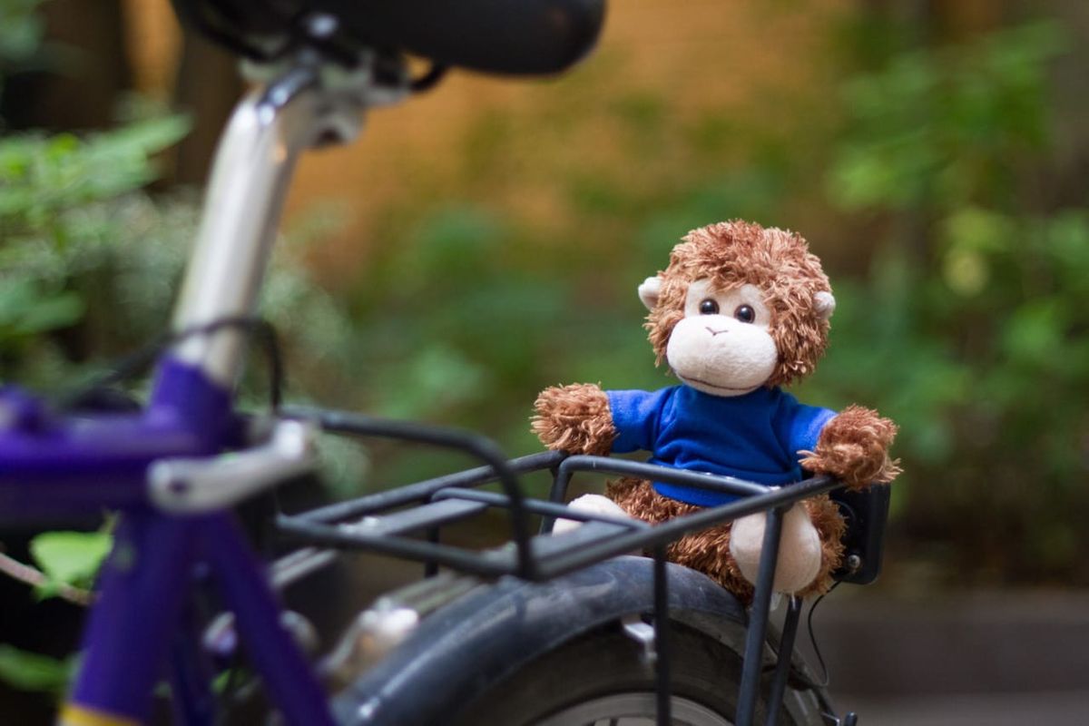 Bob T. Monkey on a bike