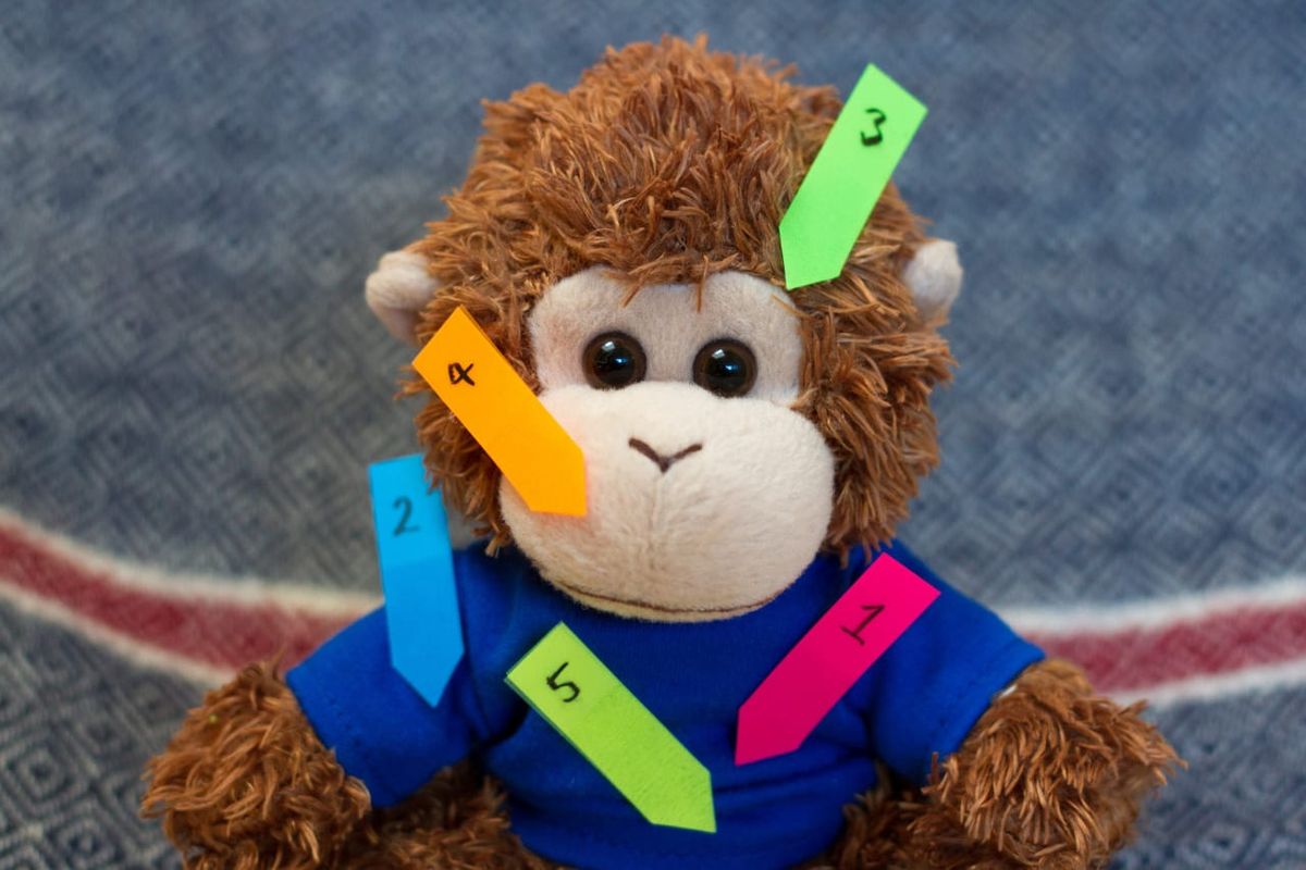 Bob T. Monkey with tags