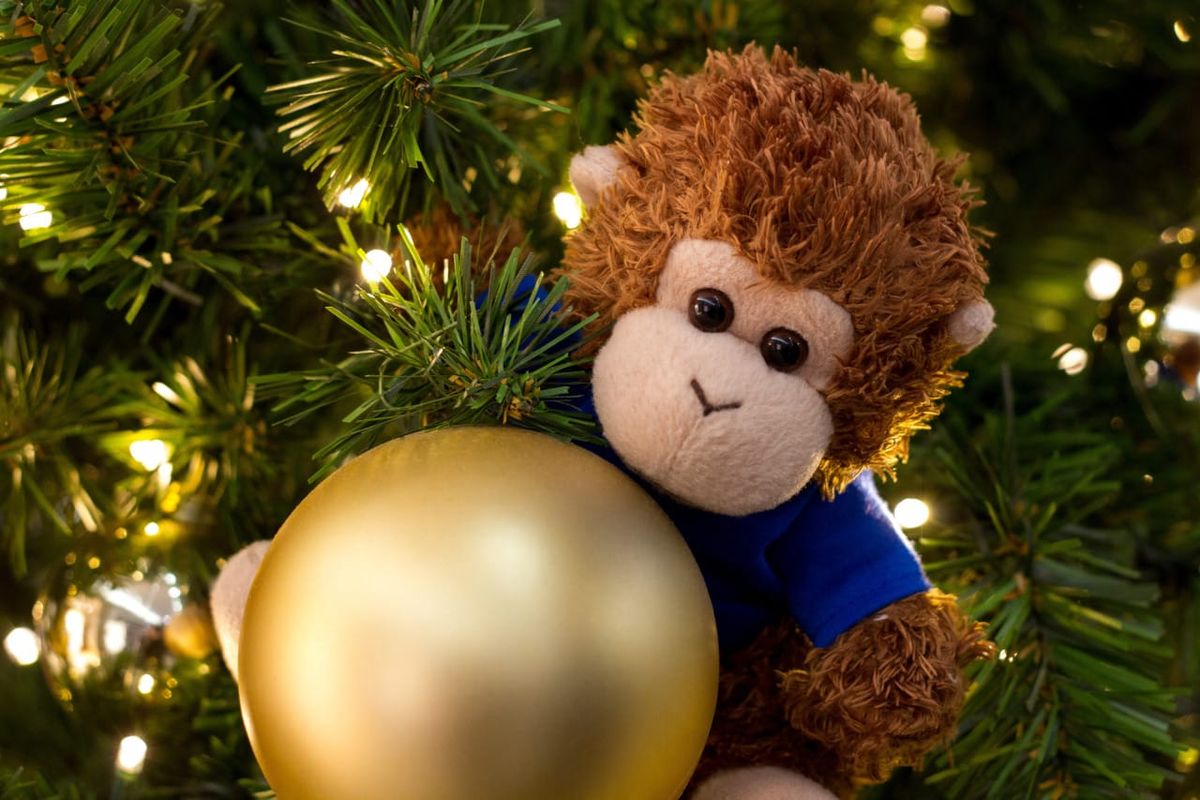 Bob T. Monkey in a festive mood