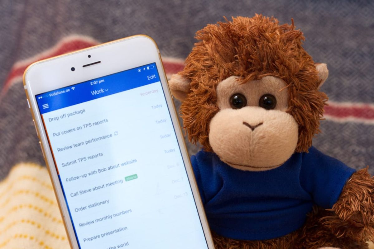 Bob T. Monkey reviews his tasks on an iPhone