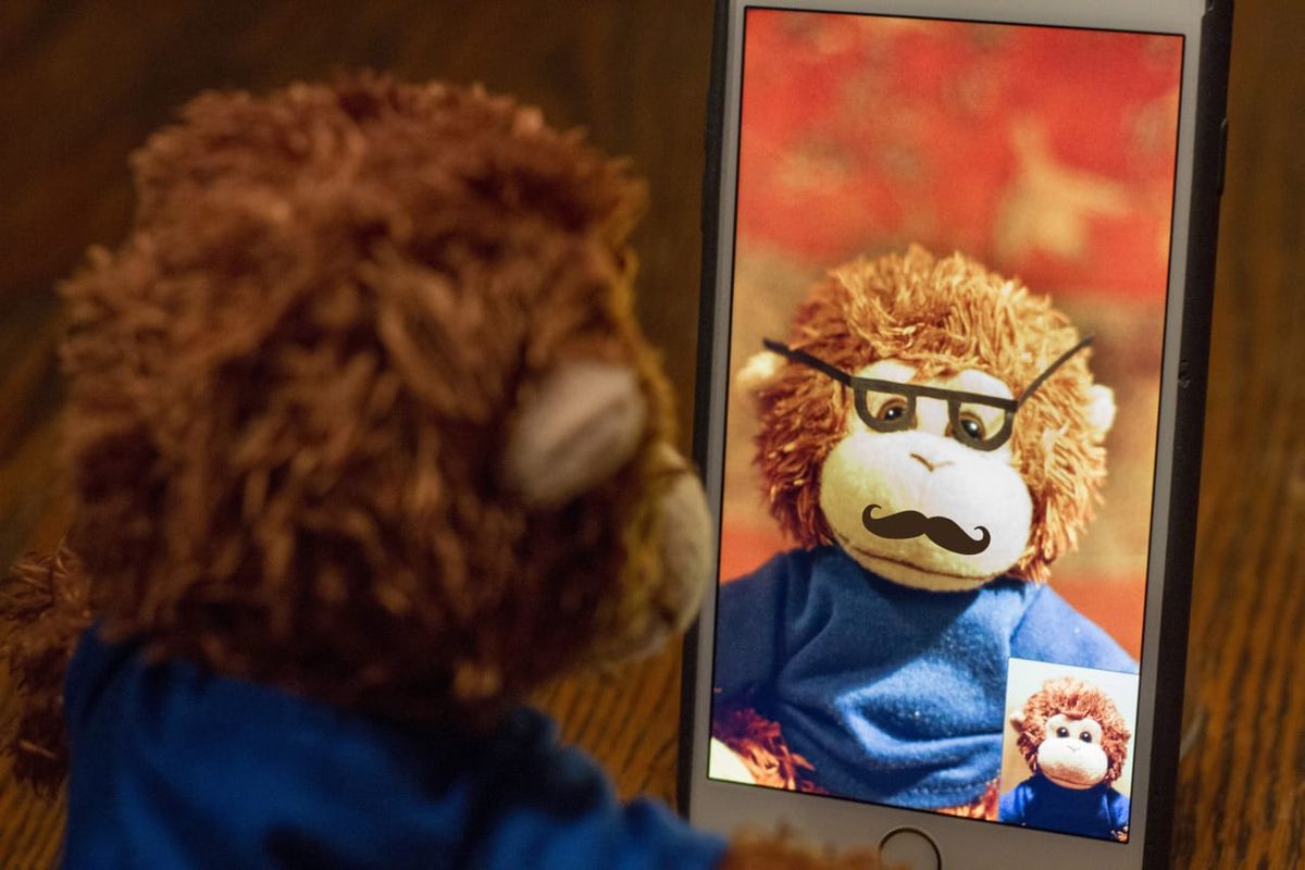 Bob T. Monkey FaceTimes with his favorite uncle, whose name is curiously also Bob.