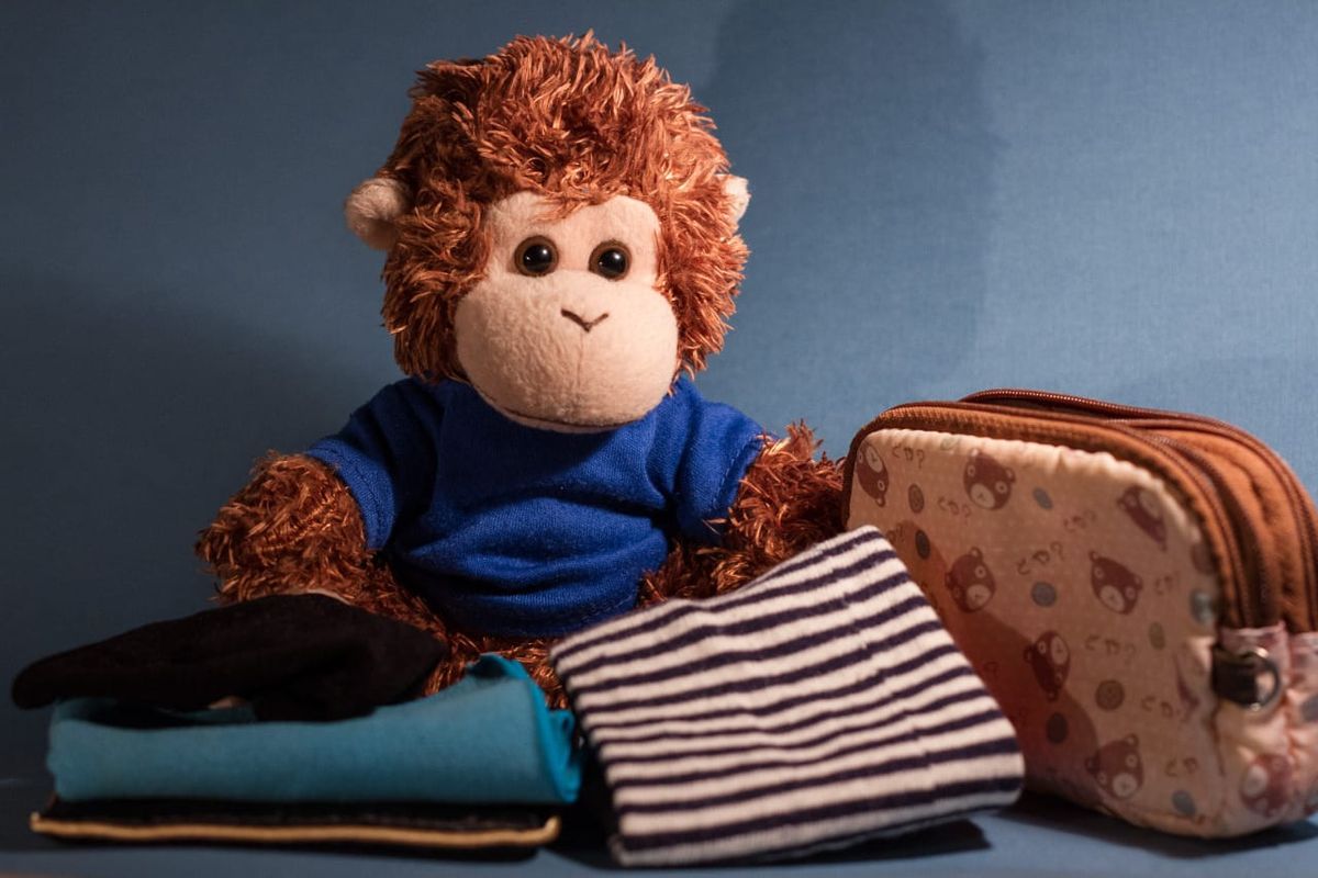 Bob T. Monkey packs for a trip