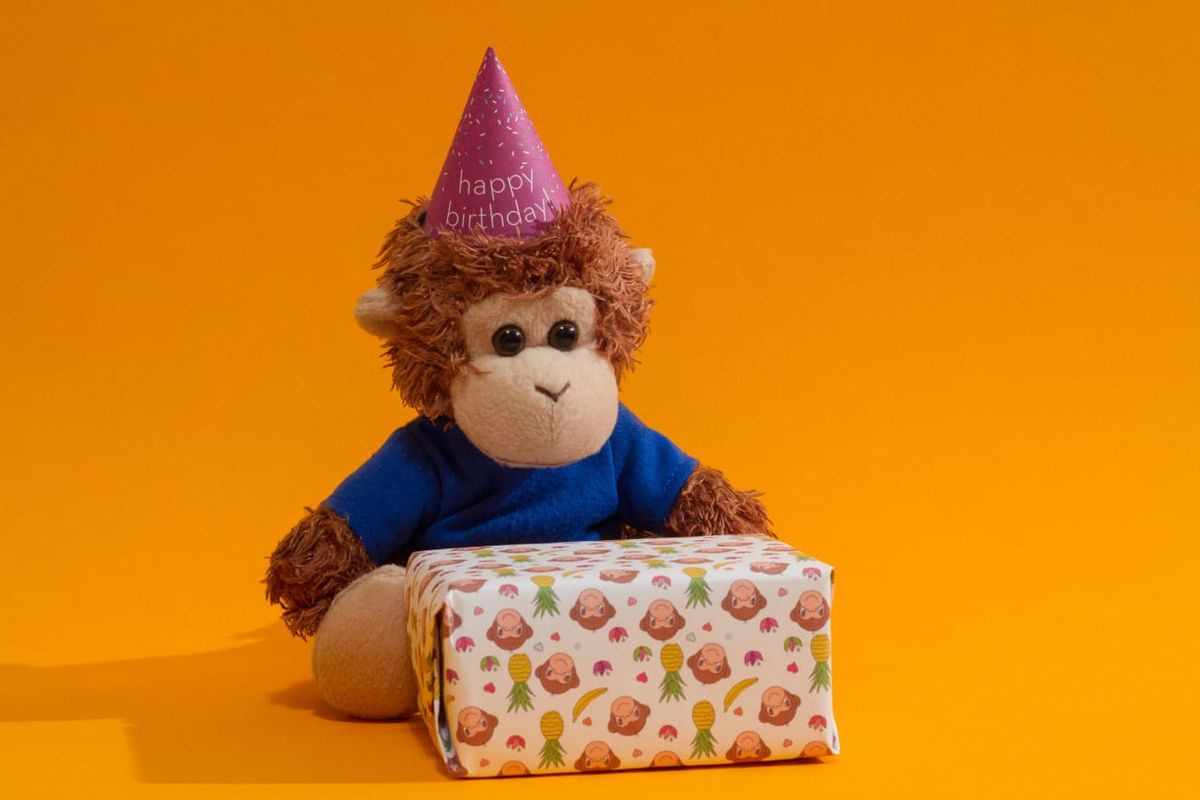 Bob T. Monkey celebrates a birthday