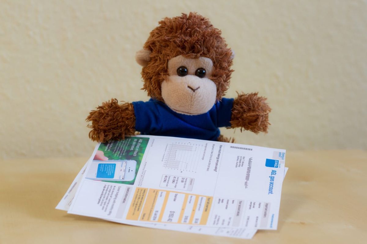 Bob T. Monkey makes sure he pays his bills on time