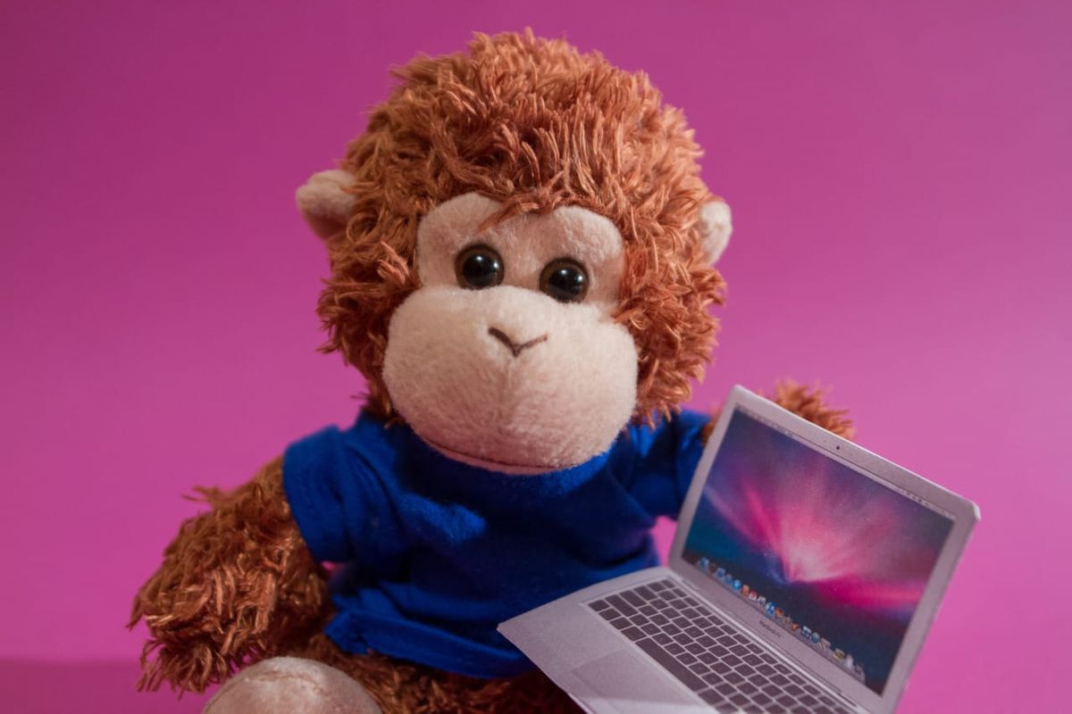 Bob T. Monkey works on his laptop