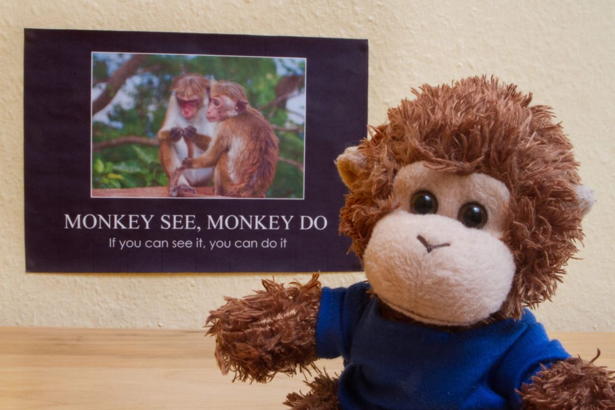 Bob T. Monkey with one of his favorite quotes