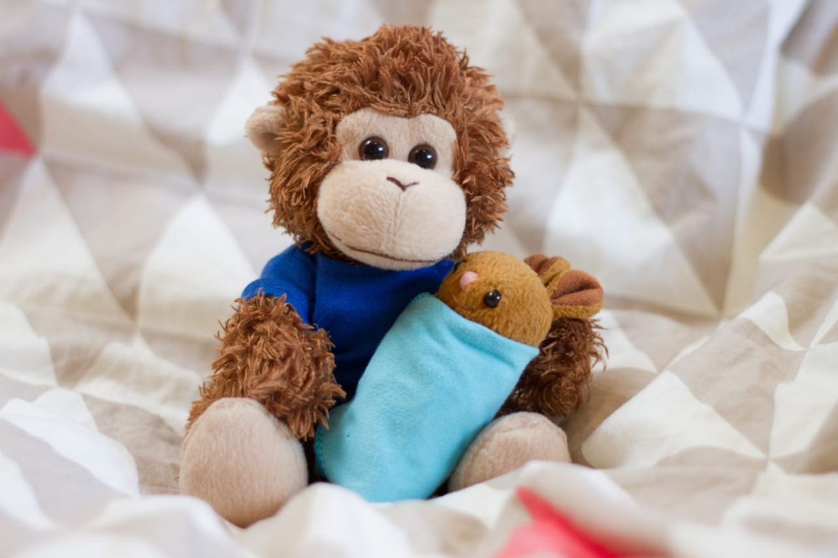 Bob T. Monkey with a newborn