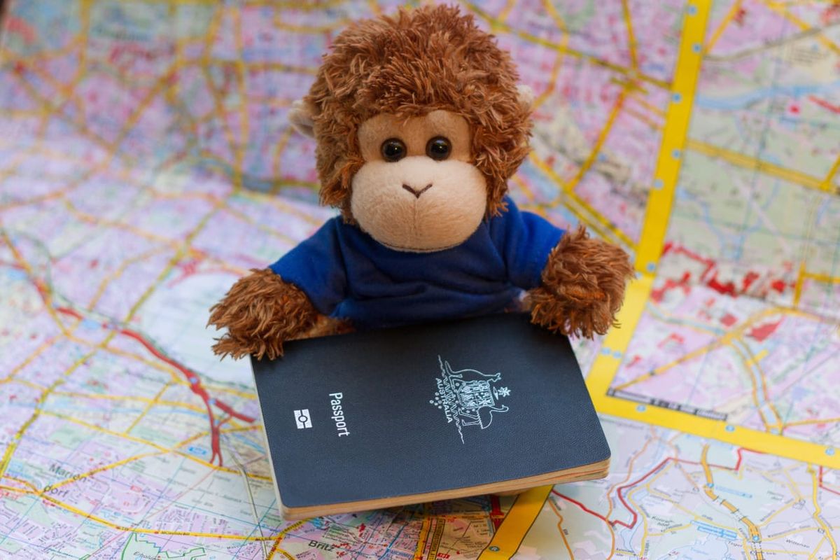 Bob T. Monkey consults a map to find nearby tasks
