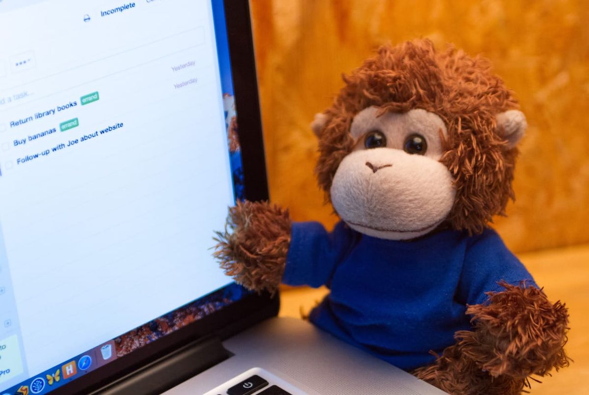 Bob T. Monkey decides what to do today