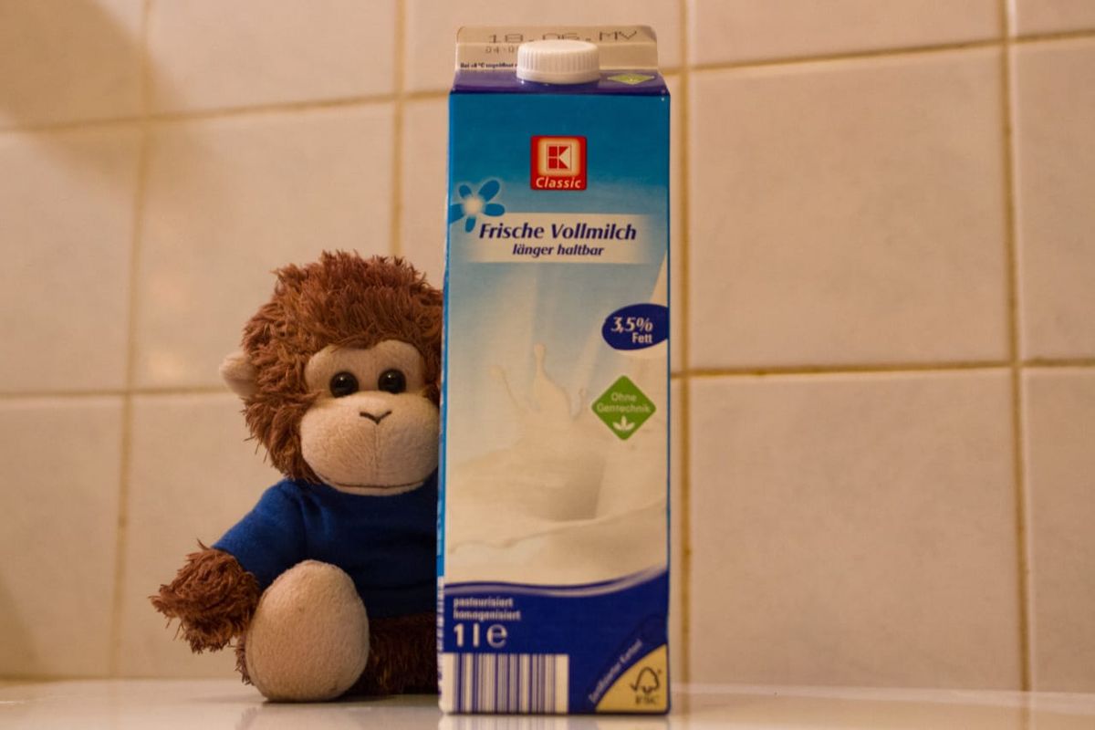 Bob T. Monkey remembers the milk