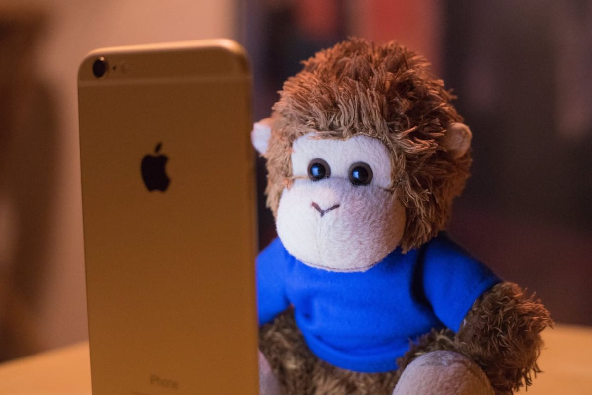 Bob T. Monkey reviews his most-postponed tasks