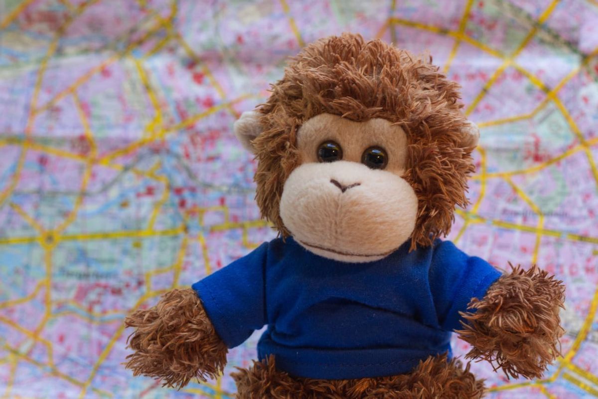Bob T. Monkey reviews a map to plan how he'll get things done