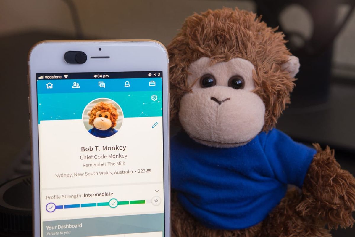 Bob T. Monkey reviews his LinkedIn profile