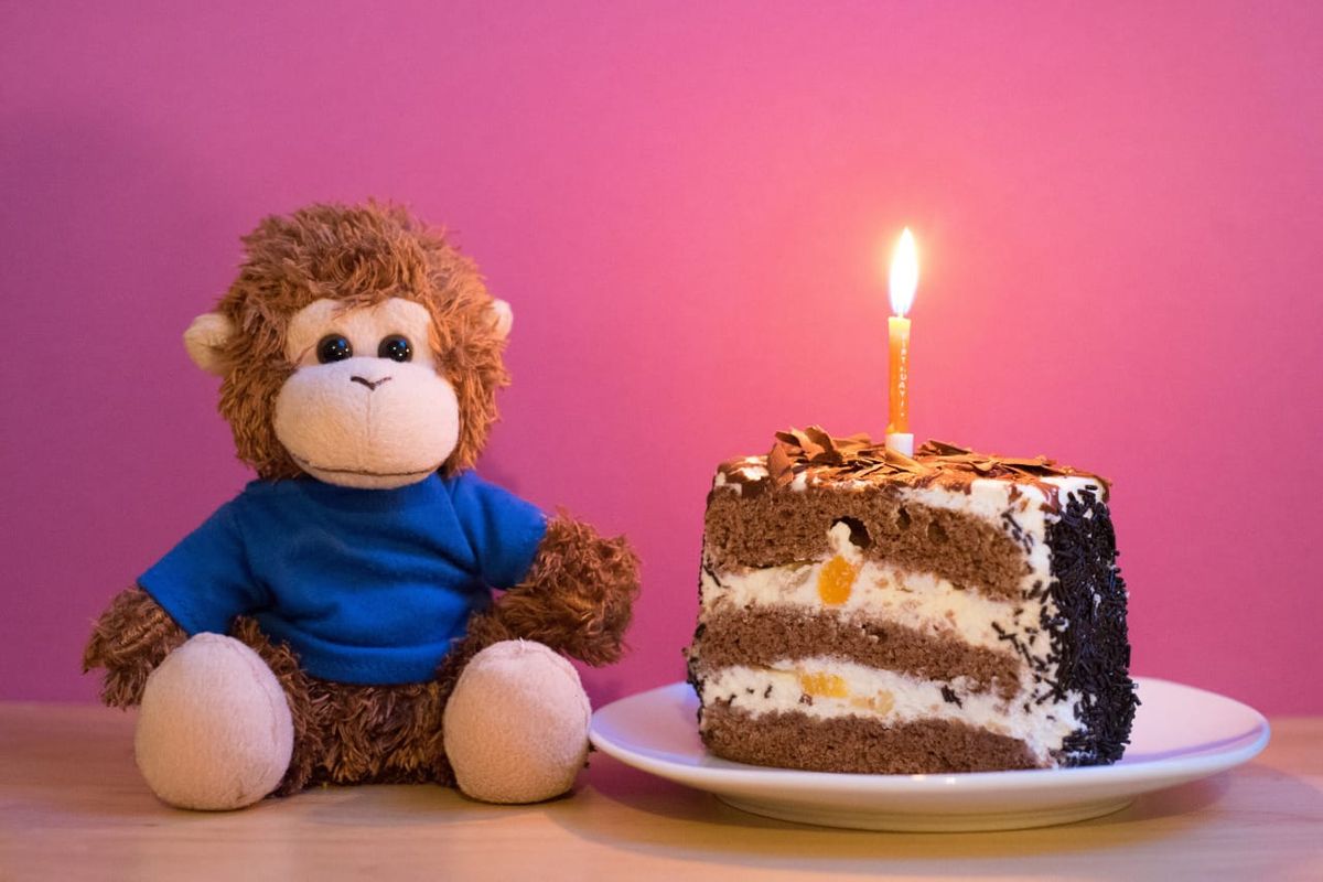 Bob T. Monkey celebrates our birthday with cake