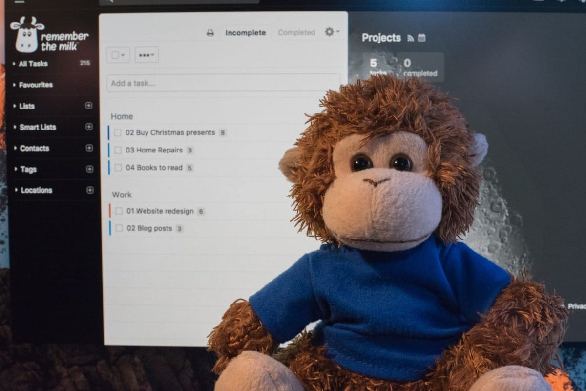 Bob T. Monkey organizes his projects