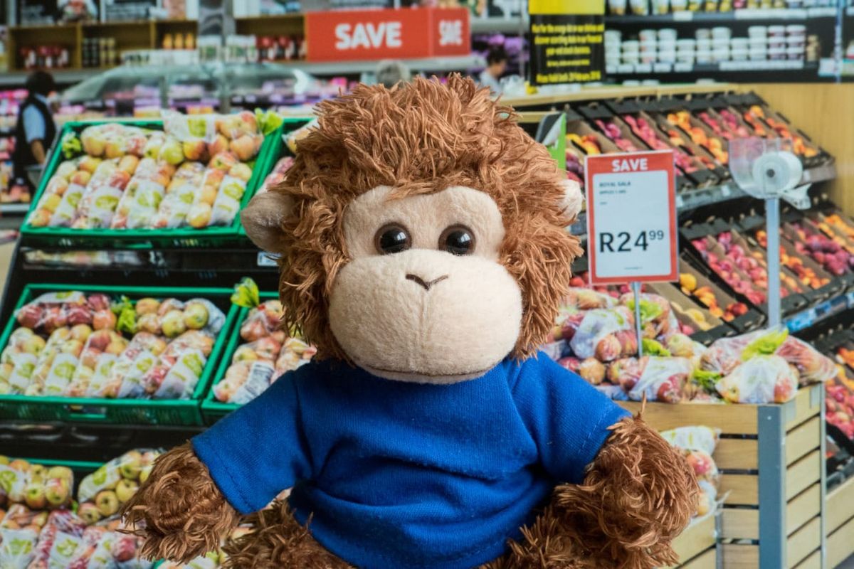 Bob T. Monkey does some grocery shopping