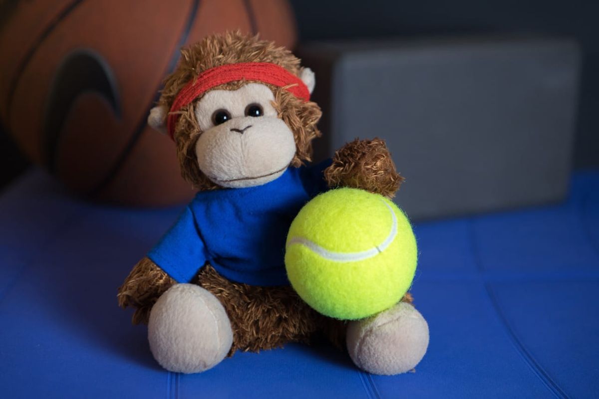 Bob T. Monkey has a New Year's resolution to get more exercise