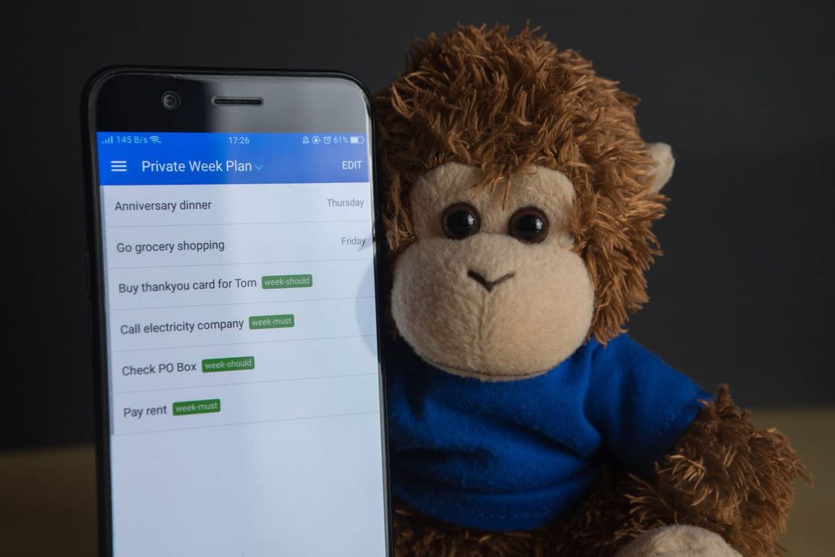 Bob T. Monkey reviews his plan for the week