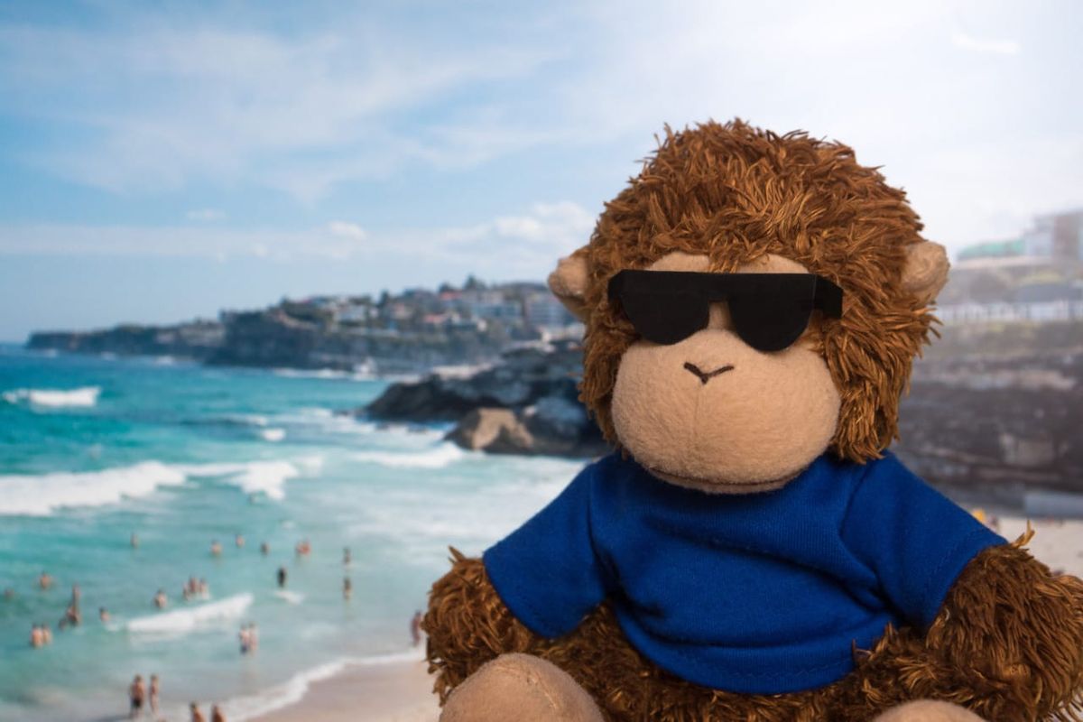 Bob T. Monkey enjoys his time out of the office