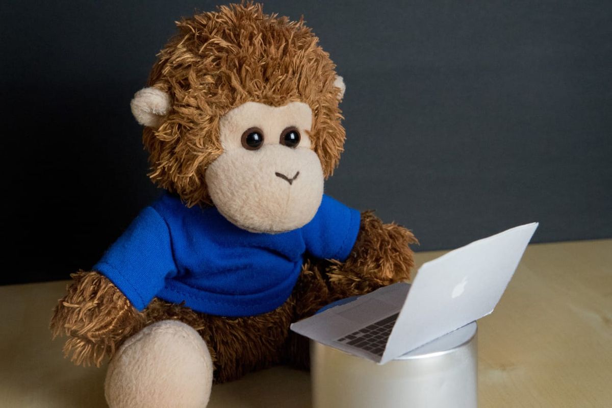 Bob T. Monkey works on his laptop