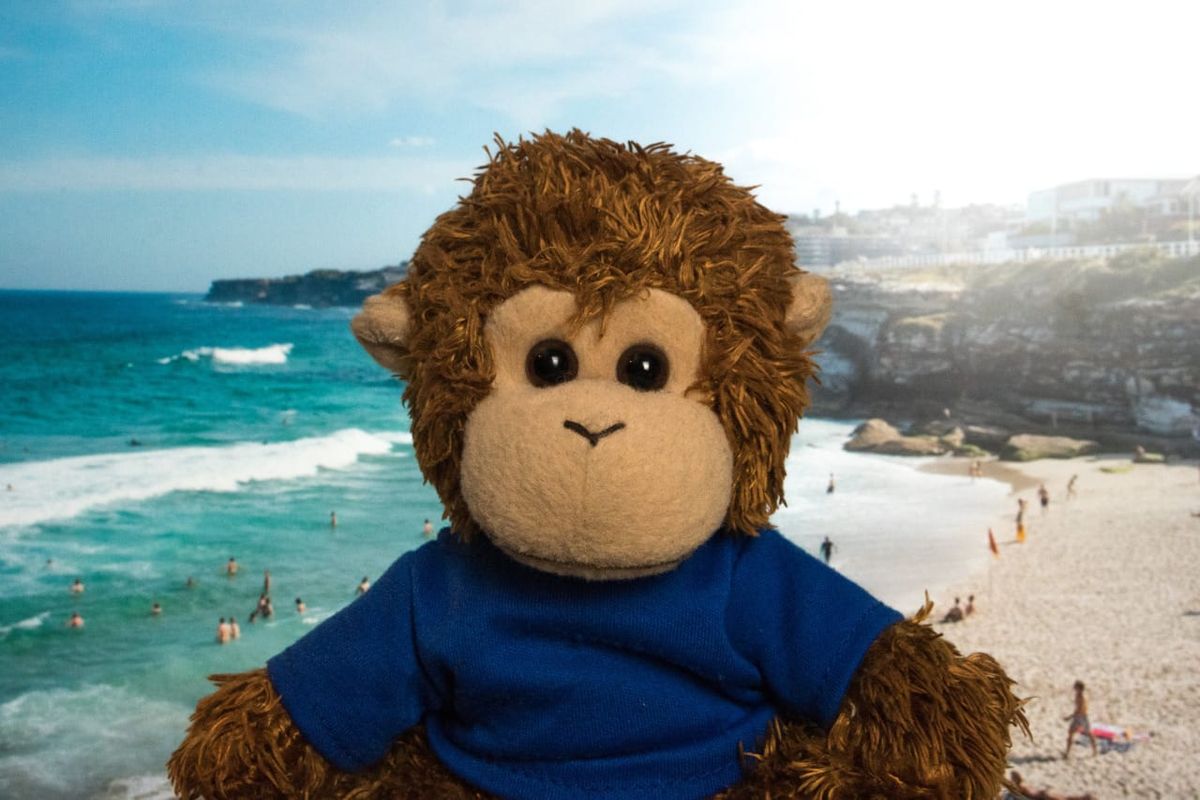 Bob T. Monkey enjoys his weekend at the beach
