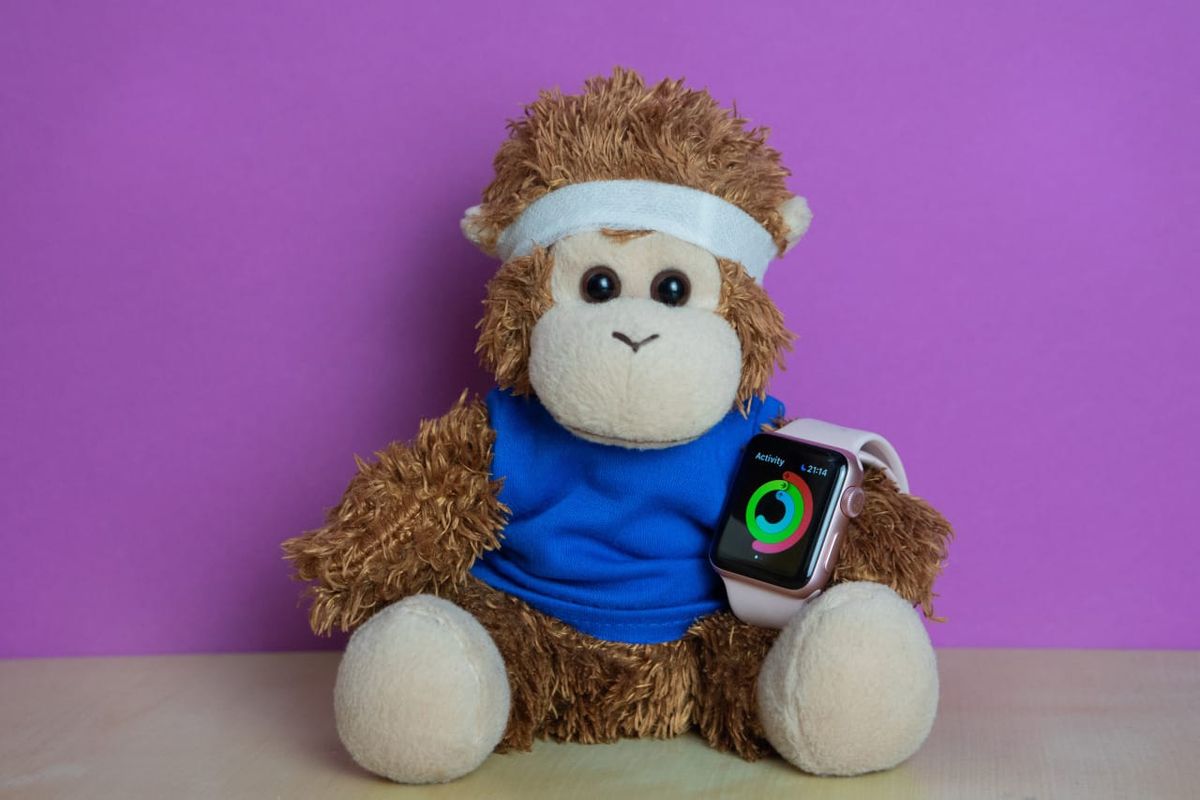 Bob T. Monkey in his running gear