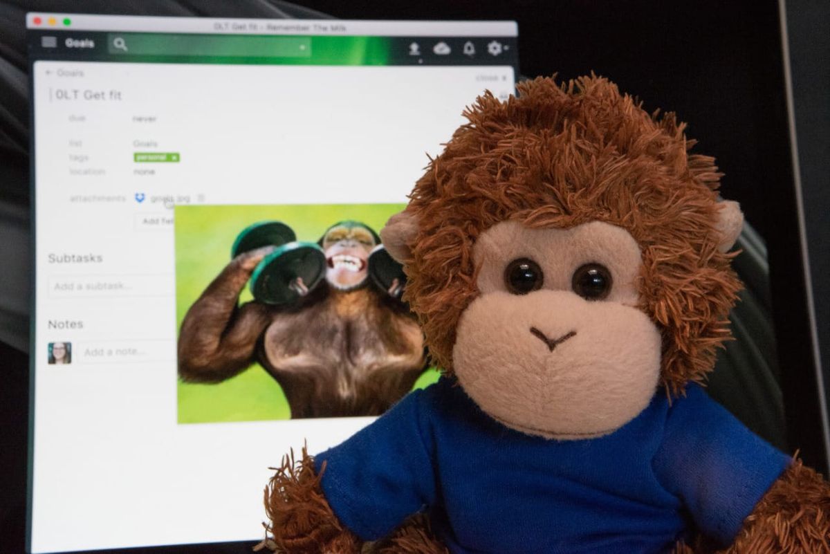 Bob T. Monkey likes to focus on his goals