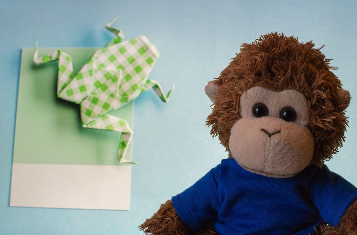 Bob T. Monkey contemplates his 'frog' for the day