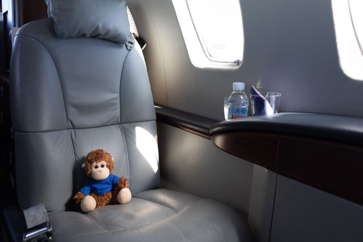 Bob T. Monkey on a plane