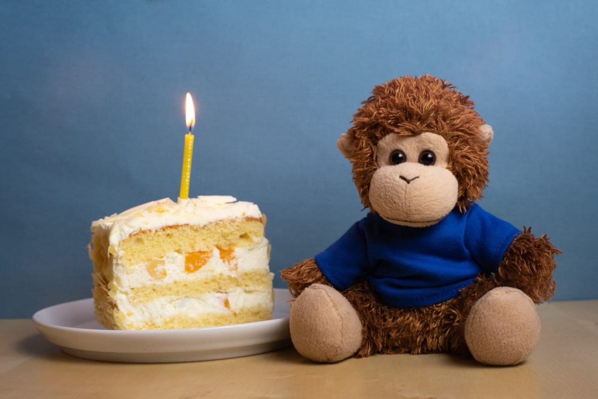 Bob T. Monkey eats birthday cake