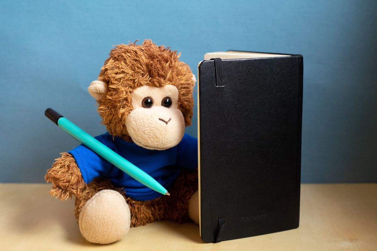 Bob T. Monkey practices his creative writing