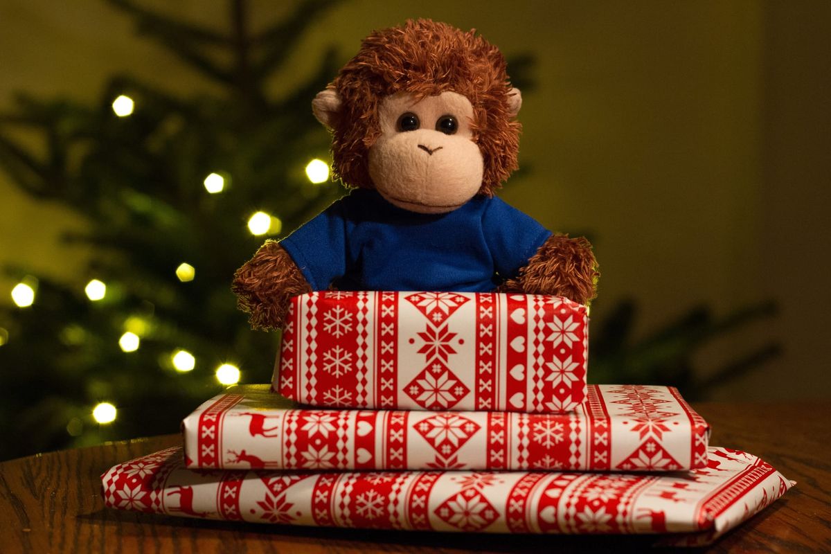 Bob T. Monkey with gifts