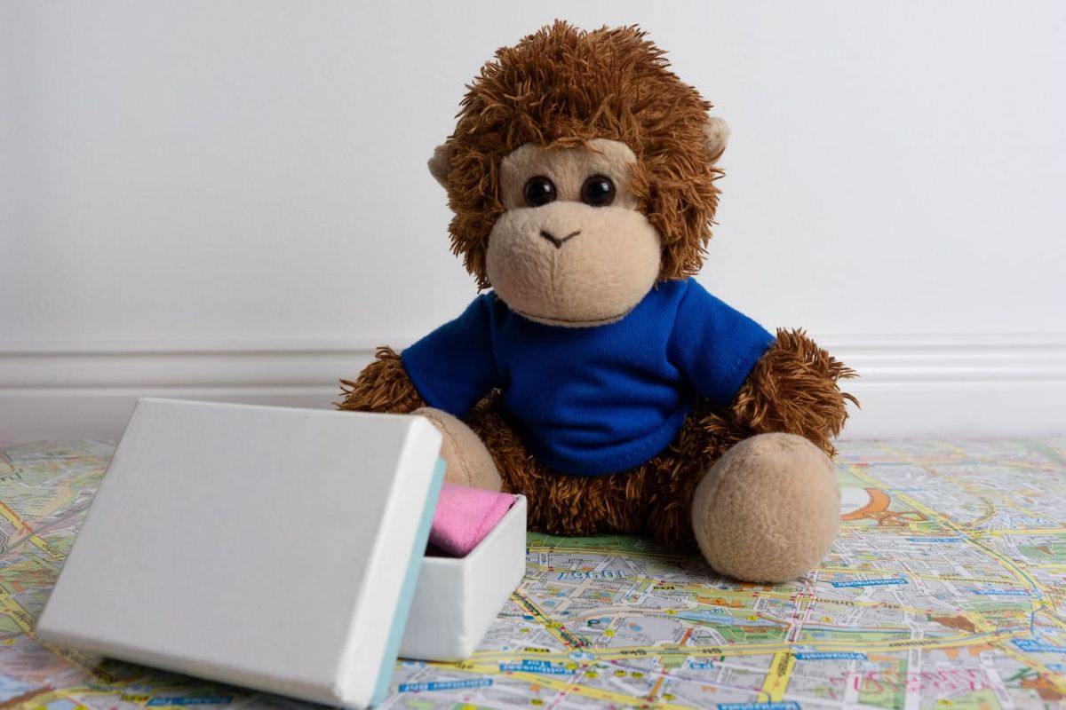 Bob T. Monkey packs for a trip